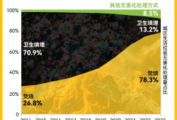 走出垃圾围城：来看看两千多座垃圾焚烧炉的运行现状