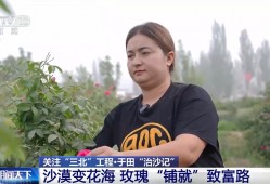 沙漠变花海 长出玫瑰“长”出新业态 生态环境改善带给群众实实在在的获得感