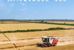 沉甸甸的收获——2025年夏季粮油收获一线观察